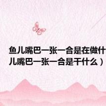 鱼儿嘴巴一张一合是在做什么(鱼儿嘴巴一张一合是干什么)