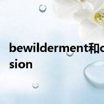 bewilderment和confusion