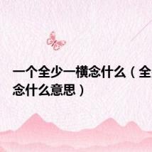 一个全少一横念什么（全少一横念什么意思）