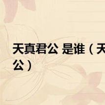 天真君公 是谁（天真君公）