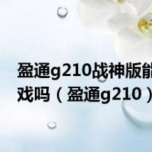 盈通g210战神版能打游戏吗（盈通g210）