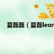 夏磊磊（夏磊leon）