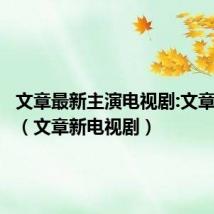 文章最新主演电视剧:文章电视剧(文章新电视剧)