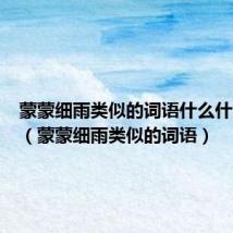 蒙蒙细雨类似的词语什么什么出发(蒙蒙细雨类似的词语)