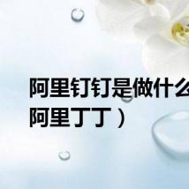 阿里钉钉是做什么的（阿里丁丁）