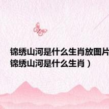 锦绣山河是什么生肖放图片出来(锦绣山河是什么生肖)