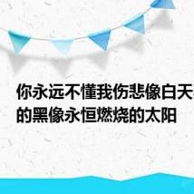 你永远不懂我伤悲像白天不懂夜的黑像永恒燃烧的太阳
