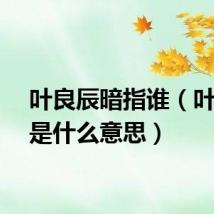叶良辰暗指谁（叶良辰是什么意思）