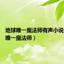 地球唯一魔法师有声小说(地球唯一魔法师)
