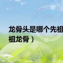 龙骨头是哪个先祖（始祖龙骨）