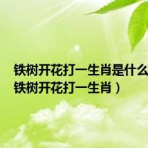 铁树开花打一生肖是什么生肖（铁树开花打一生肖）