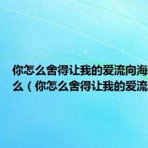你怎么舍得让我的爱流向海讲的什么(你怎么舍得让我的爱流向海)