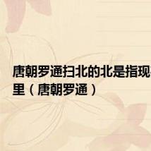 唐朝罗通扫北的北是指现在的哪里(唐朝罗通)