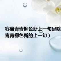 客舍青青柳色新上一句是啥(客舍青青柳色新的上一句)