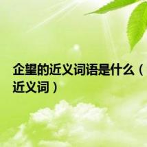 企望的近义词语是什么（企望的近义词）