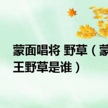 蒙面唱将 野草（蒙面歌王野草是谁）
