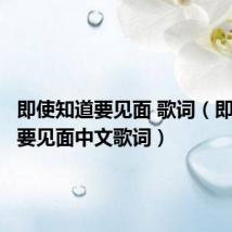 即使知道要见面 歌词（即使知道要见面中文歌词）
