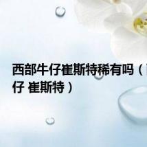 西部牛仔崔斯特稀有吗(西部牛仔 崔斯特)