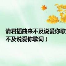 请君插曲来不及说爱你歌词(来不及说爱你歌词)