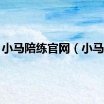 小马陪练官网（小马pe）