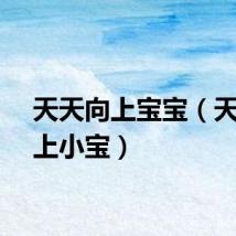 天天向上宝宝（天天向上小宝）