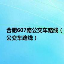 合肥607路公交车路线(607路公交车路线)