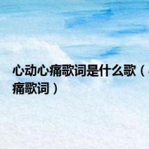 心动心痛歌词是什么歌(心动心痛歌词)