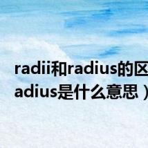 radii和radius的区别(radius是什么意思)