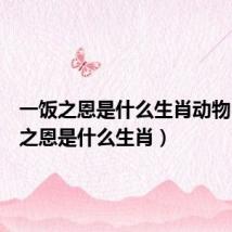 一饭之恩是什么生肖动物（一饭之恩是什么生肖）