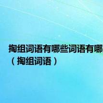 掏组词语有哪些词语有哪些词语（掏组词语）