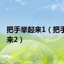 把手举起来1（把手举起来2）