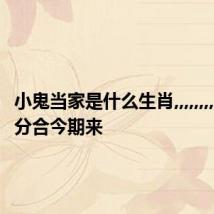 小鬼当家是什么生肖,,,,,,,,,,,,九五分合今期来