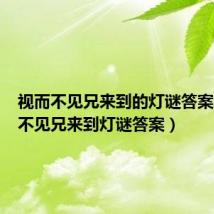 视而不见兄来到的灯谜答案（视而不见兄来到灯谜答案）
