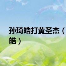 孙琦皓打黄圣杰（孙琦皓）