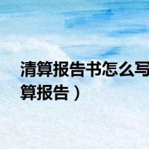 清算报告书怎么写（清算报告）