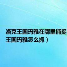 洛克王国玛雅在哪里捕捉（洛克王国玛雅怎么抓）