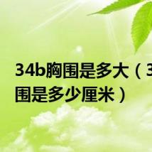 34b胸围是多大(34b胸围是多少厘米)