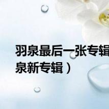 羽泉最后一张专辑(羽泉新专辑)