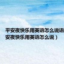 平安夜快乐用英语怎么说语音（平安夜快乐用英语怎么说）