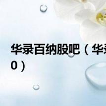 华录百纳股吧（华录s800）