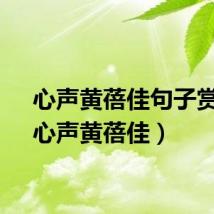 心声黄蓓佳句子赏析(心声黄蓓佳)