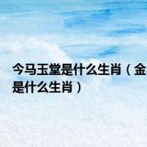 今马玉堂是什么生肖(金马玉堂是什么生肖)