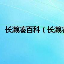长濑凑百科（长濑凑）