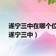 遂宁三中在哪个位置（遂宁三中）