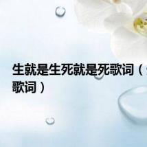 生就是生死就是死歌词(生与死歌词)