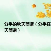 分手的秋天简谱（分手在那个秋天简谱）