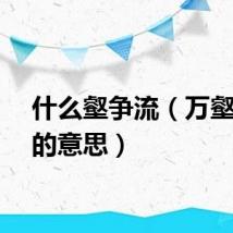 什么壑争流（万壑争流的意思）