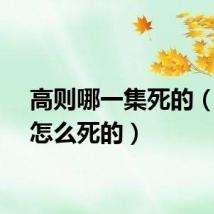 高则哪一集死的（高则怎么死的）