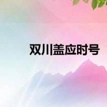 双川盖应时号