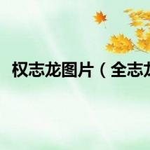 权志龙图片（全志龙）